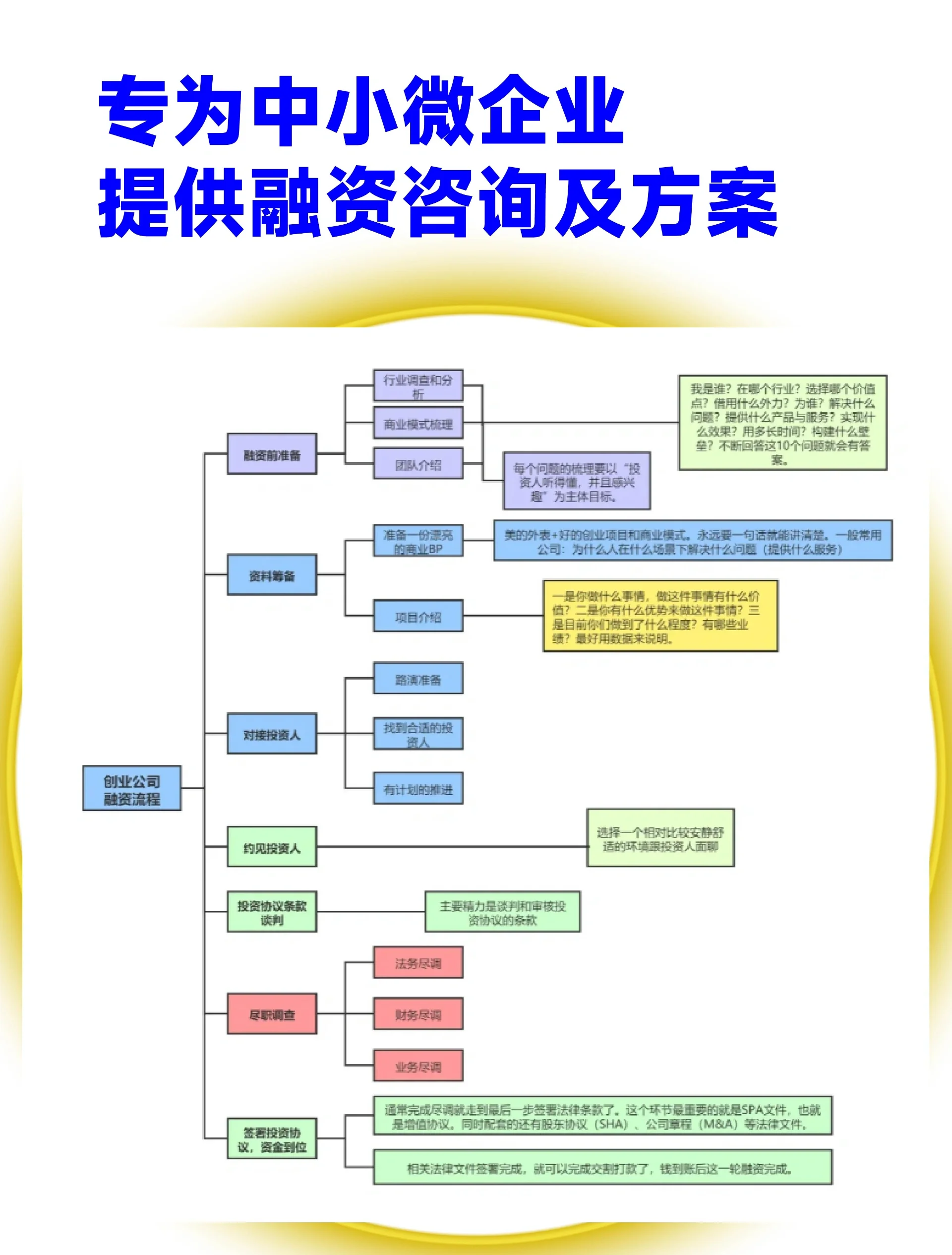 铜陵市宠物企业资金管理(宠物管理机构叫什么)